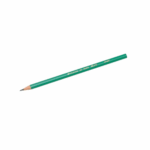 CRAYON NOIR BIC EVOLUTION HB VERT